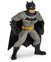 Batman Yüzme Arkadaşları - 6067008