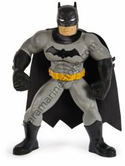 Batman Yüzme Arkadaşları - 6067008