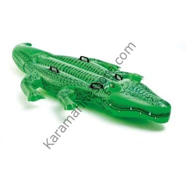 58562 - İNTEX TİMSAH 203 CM