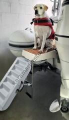 Paws-Up Tekne Köpek Merdiveni