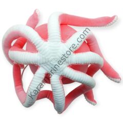Peluş Sevimli Ahtapot 30 cm - Pembe